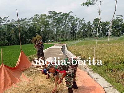 Babinsa Pendampingan Pertanian dan Komsos di Desa Pagelak