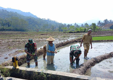 Serma Mulyono dan Anggota TNI Bantu Petani di Banjarnegara