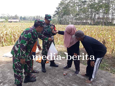Ubinan Alat Penting dalam Perencanaan Pertanian yang Efektif