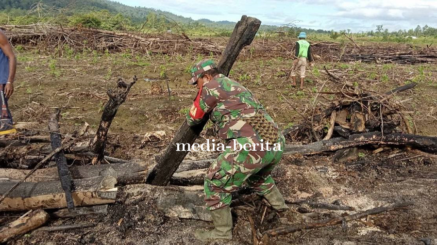 Babinsa Skanto dan Kelompok Tani Gotong Royong Percepat Pemulihan Lahan
