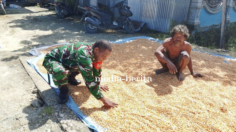Tak Cuma Jaga Keamanan, Babinsa Skanto Juga Dampingi Petani dari Pra-Produksi Hingga Panen