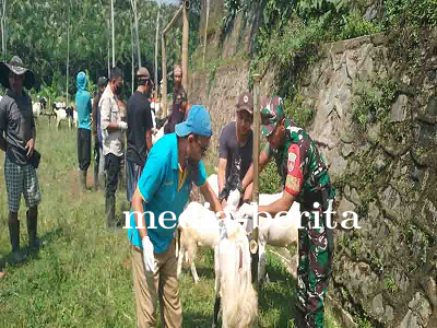 Babinsa Mendukung Pelayanan Kesehatan Hewan dan Vaksinasi Hewan Ternak