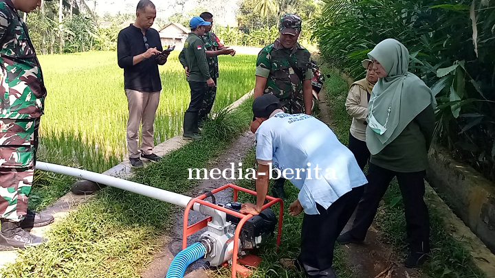 Danramil 14 Madukara Dampingi Petani Pompanisasi untuk Wujudkan Ketahanan Pangan
