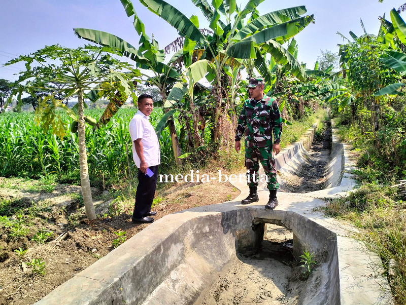 Babinsa Kodim 0712 Tegal Cek Irigasi Sawah.