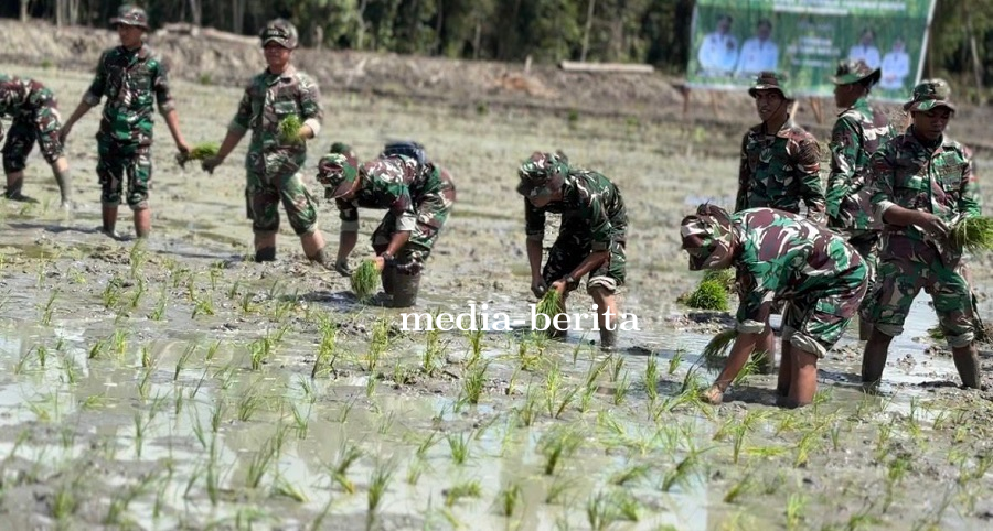 Batalyon Infanteri TP 809/NTM Berpartisipasi Aktif dalam Penanaman Perdana Padi dan Program Cetak Sa