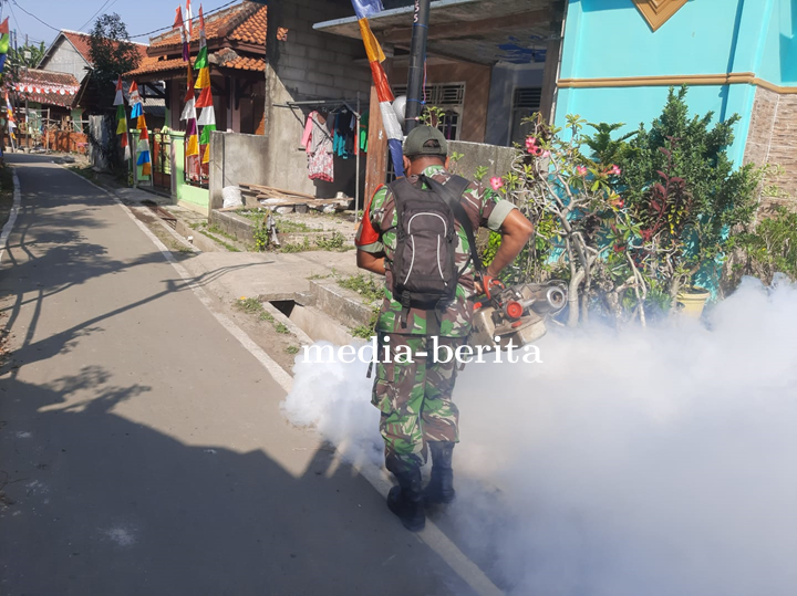 Babinsa Kodim Tegal Basmi Penyebaran Nyamuk DBD 