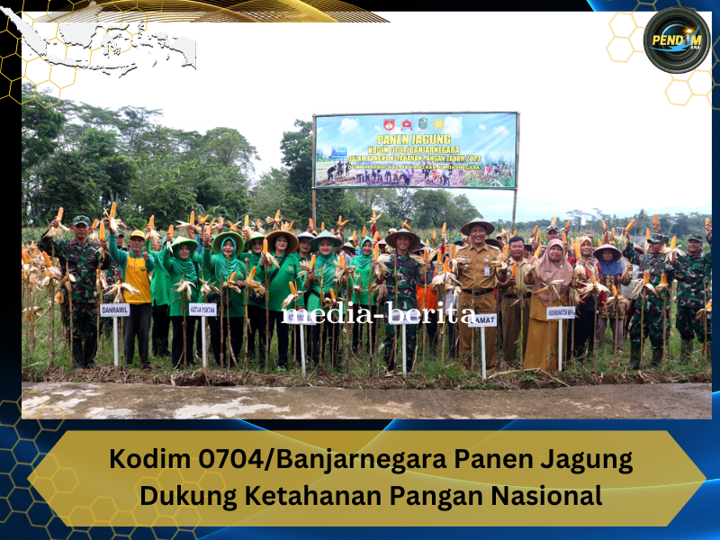 Kodim 0704 Banjarnegara Panen Jagung Dukung Ketahanan Pangan Nasional