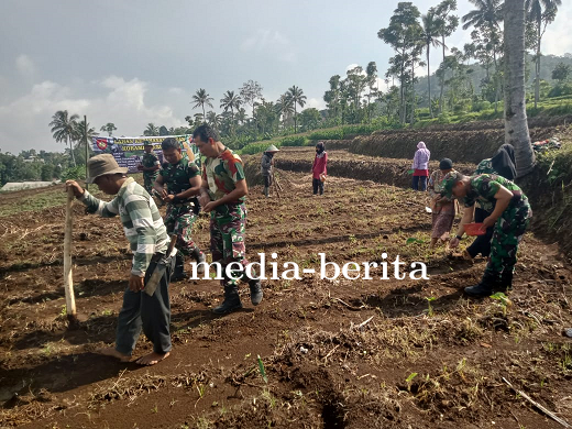 Babinsa Koramil Bumijawa Bantu Warga Tanam Jagung