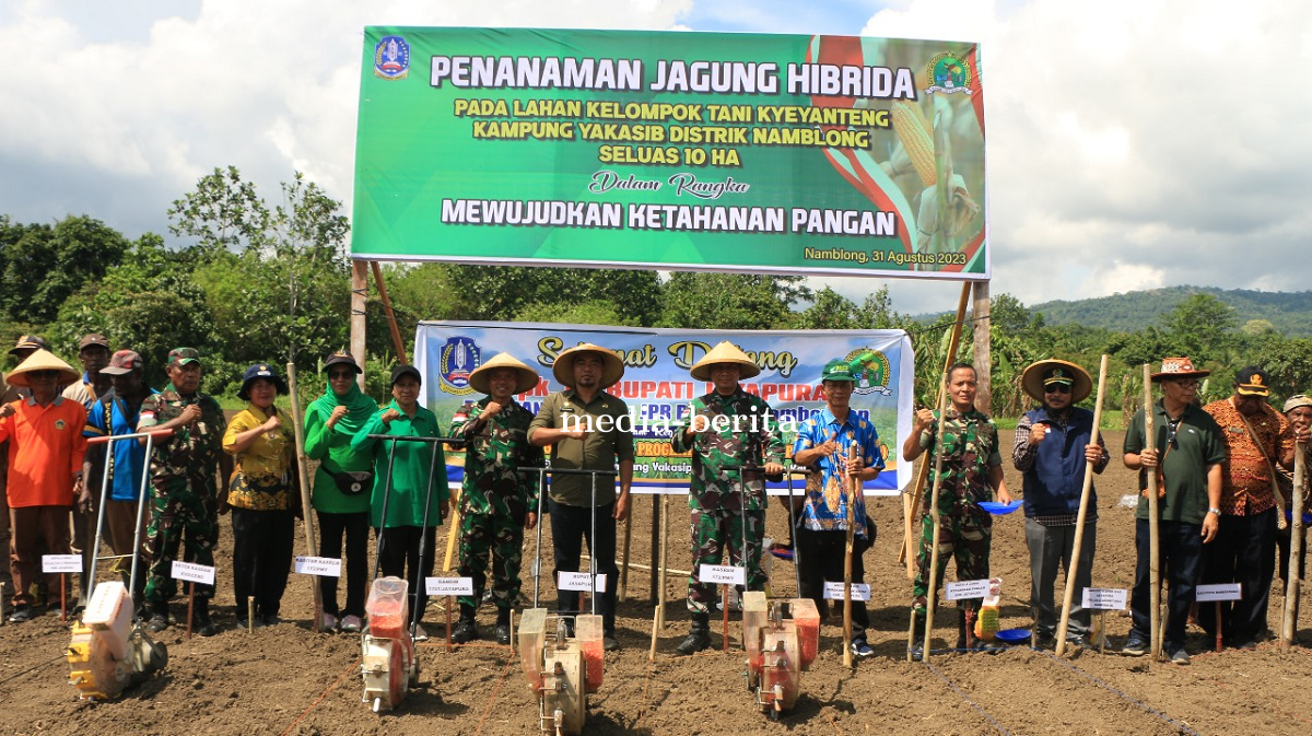 Kuatkan Ketahanan Pangan Dandim Jayapura Bersama Pj. Bupati Jayapura Tanam Jagung Hibrida