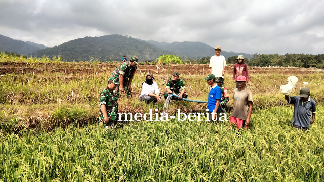 Danramil Susukan dan Warga Binaan Laksanakan Pompanisasi di Sawah Tadah Hujan