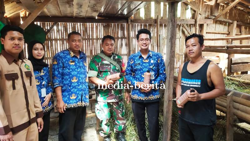 Pengobatan Ternak di Lokasi TMMD Sengkuyung Kodim Brebes