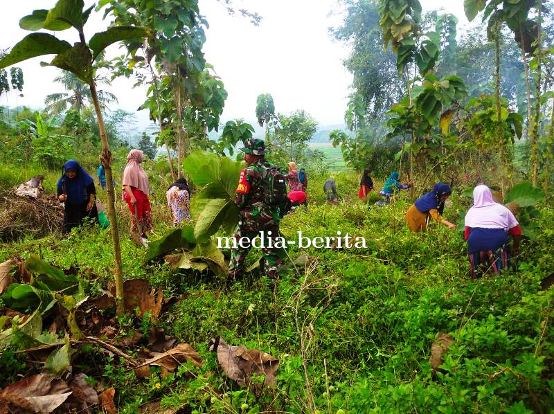Jelang Tahun Baru Islam Warga dan Babinsa Bersih-bersih Makam