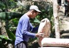 Pundak Pak Santo Kekuatan Gotong Royong di Balik Pembangunan Jalan TMMD