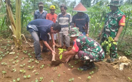 Tanam Pohon di Tengah TMMD Serma Susilo Tinggalkan Warisan Hijau untuk Desa