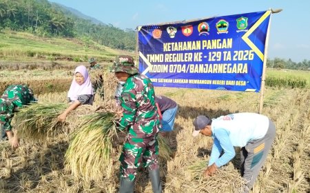 Di Tengah TMMD Serka Suwondo Turun ke Sawah Bantu Warga Panen Padi