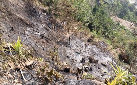 Babinsa dan Warga Pastikan Api Karhutla di Kalilunjar Benar-Benar Padam