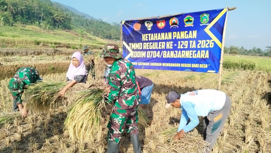 Di Tengah TMMD Serka Suwondo Turun ke Sawah Bantu Warga Panen Padi