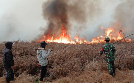 Kebakaran Semak Belukar di Lahan Perhutani Diengkulon TNI-Polri dan Warga Bergerak Padamkan Api